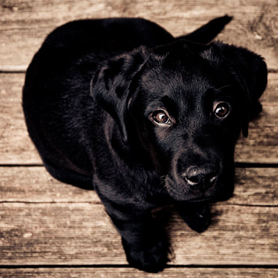 泡泡短信压力测试官网