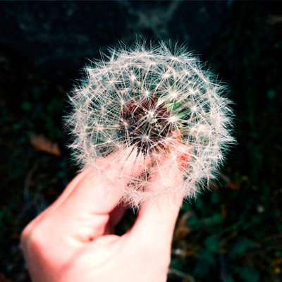 在线手机号压力测试